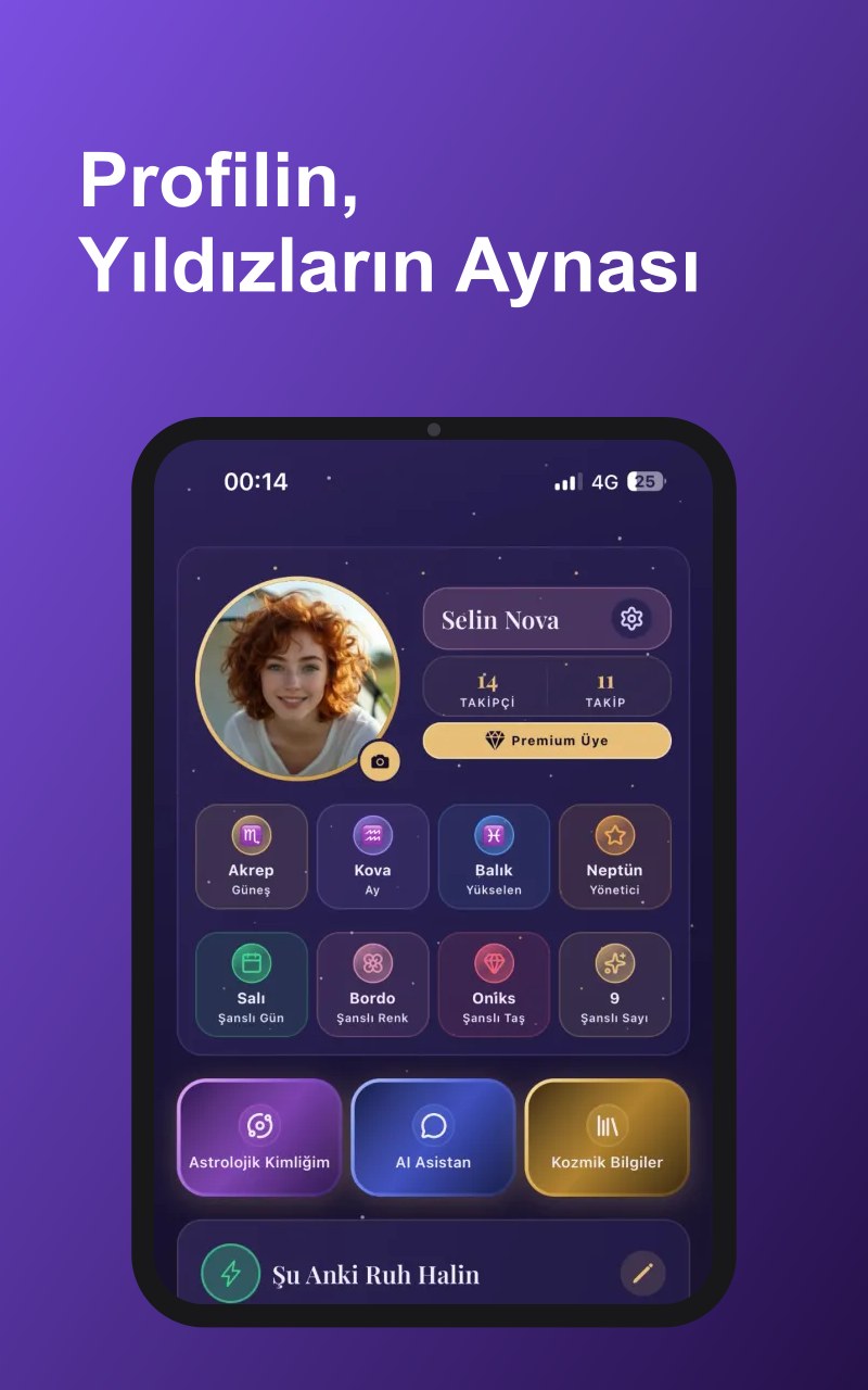 MYSTRIS profil ekranı - astrolojik kimlik